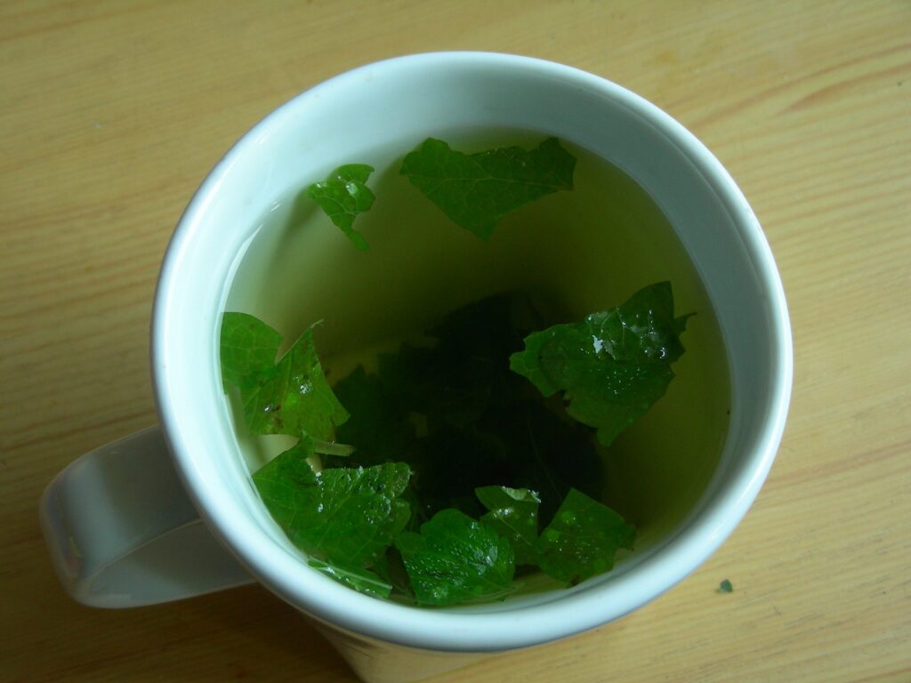 一杯新鮮香草茶,象徵阿育吠陀日常草本調理習慣