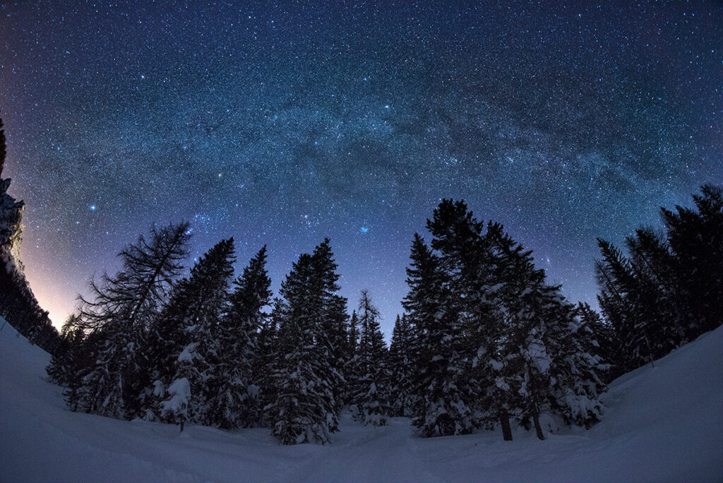 冬夜松林上方的銀河星空，象徵星際種子與宇宙靈魂記憶的連結
