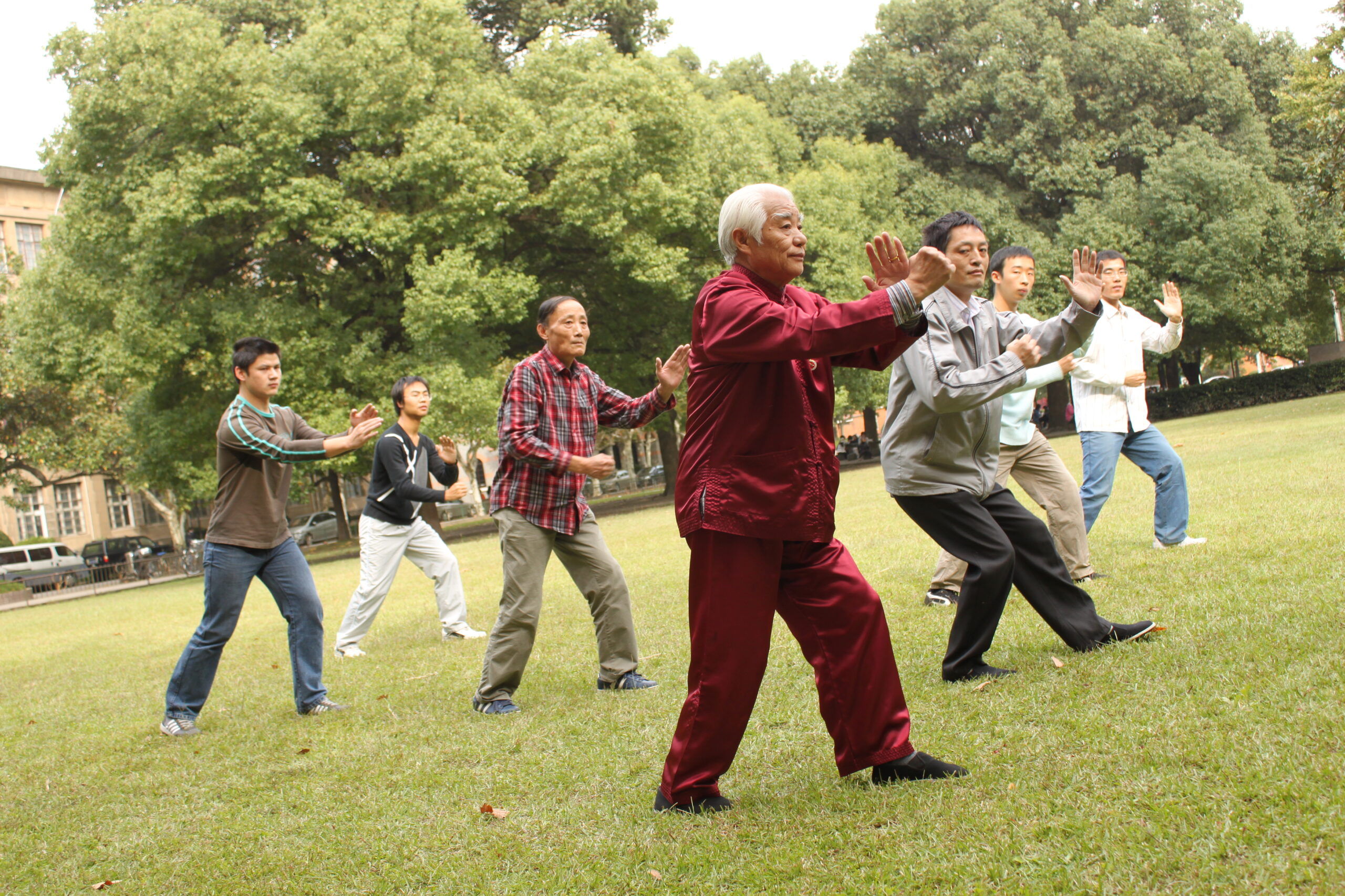 一群人在公園草地上練習太極拳，動作舒展寧靜